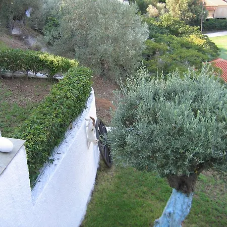 Villa Frideriki Agia Paraskevi  Pokoj fotografie