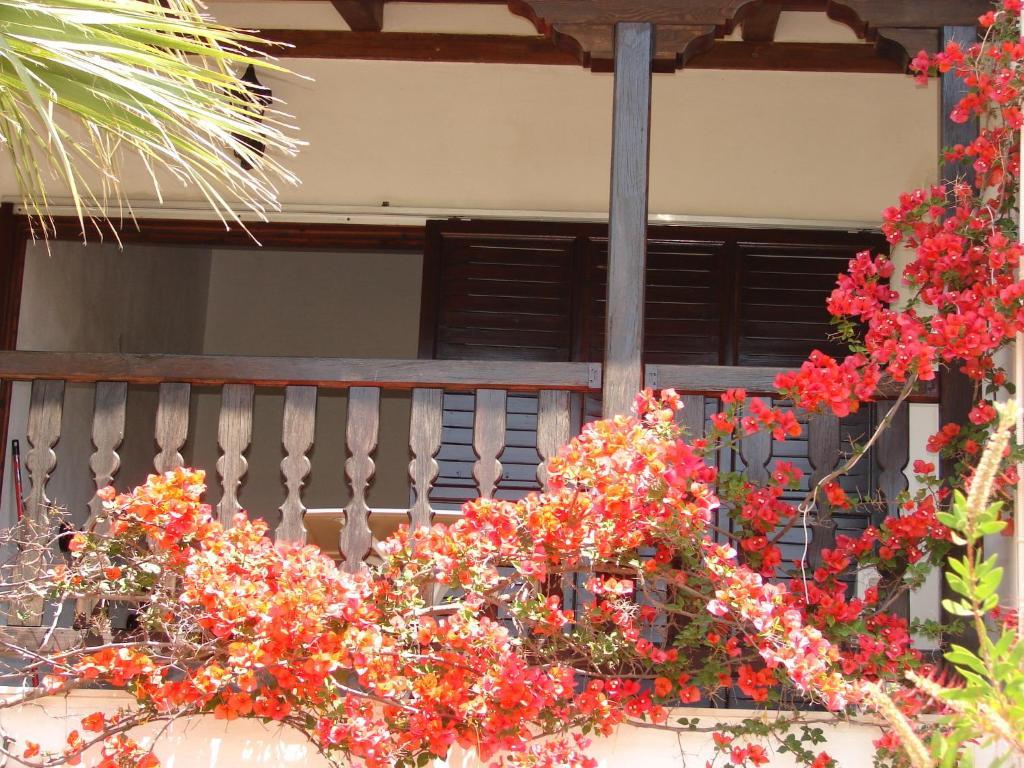 Apartment Frideriki Agia Paraskevi (Skiathos)